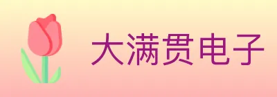 大满贯电子 Logo